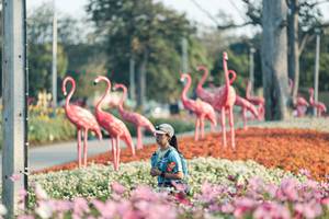 BIB: 
                            <button type="button" onclick="openModal(27344190)" class="btn btn-primary btn-sm float-right btn-popup" data-toggle="modal" data-target=".modal-high-quality">
                        <i class="fas fa-shopping-cart"></i> Add to Cart
                    </button>
                                            <button type="button" onclick="isThisMe(27344190, true)" class="btn btn-success btn-sm float-right btn-popup btn-isme hidden" data-toggle="tooltip" data-placement="bottom" title="นี่คือรูปของคุณใช่ไหม คลิกที่นี่เพื่อเอาเข้าอัลบั้ม">
                        <i class="fas fa-plus"></i> Add to album
                    </button>
                    <button type="button" onclick="isThisMe(27344190, false)" class="btn btn-warning btn-sm float-right btn-popup btn-isnotme hidden">
                        <i class="fas fa-ban"></i> Remove from album
                    </button>